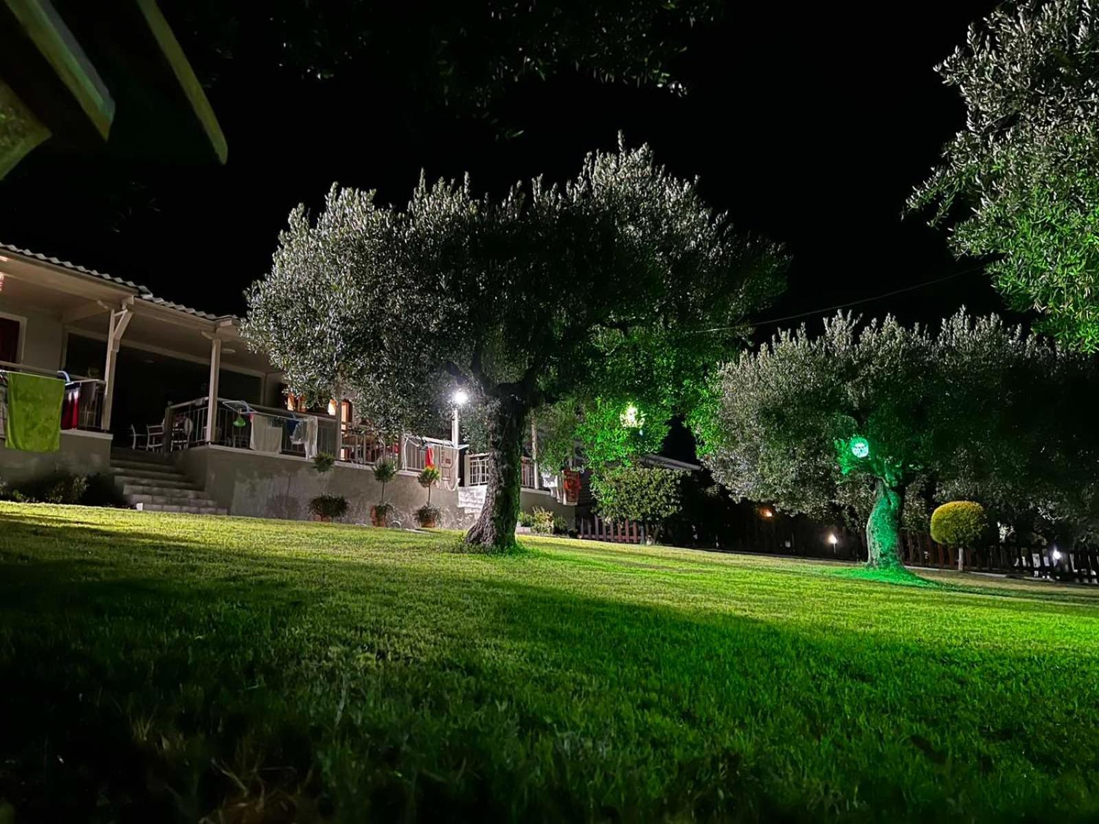 House Garli Daire Psakoudia Oda fotoğraf