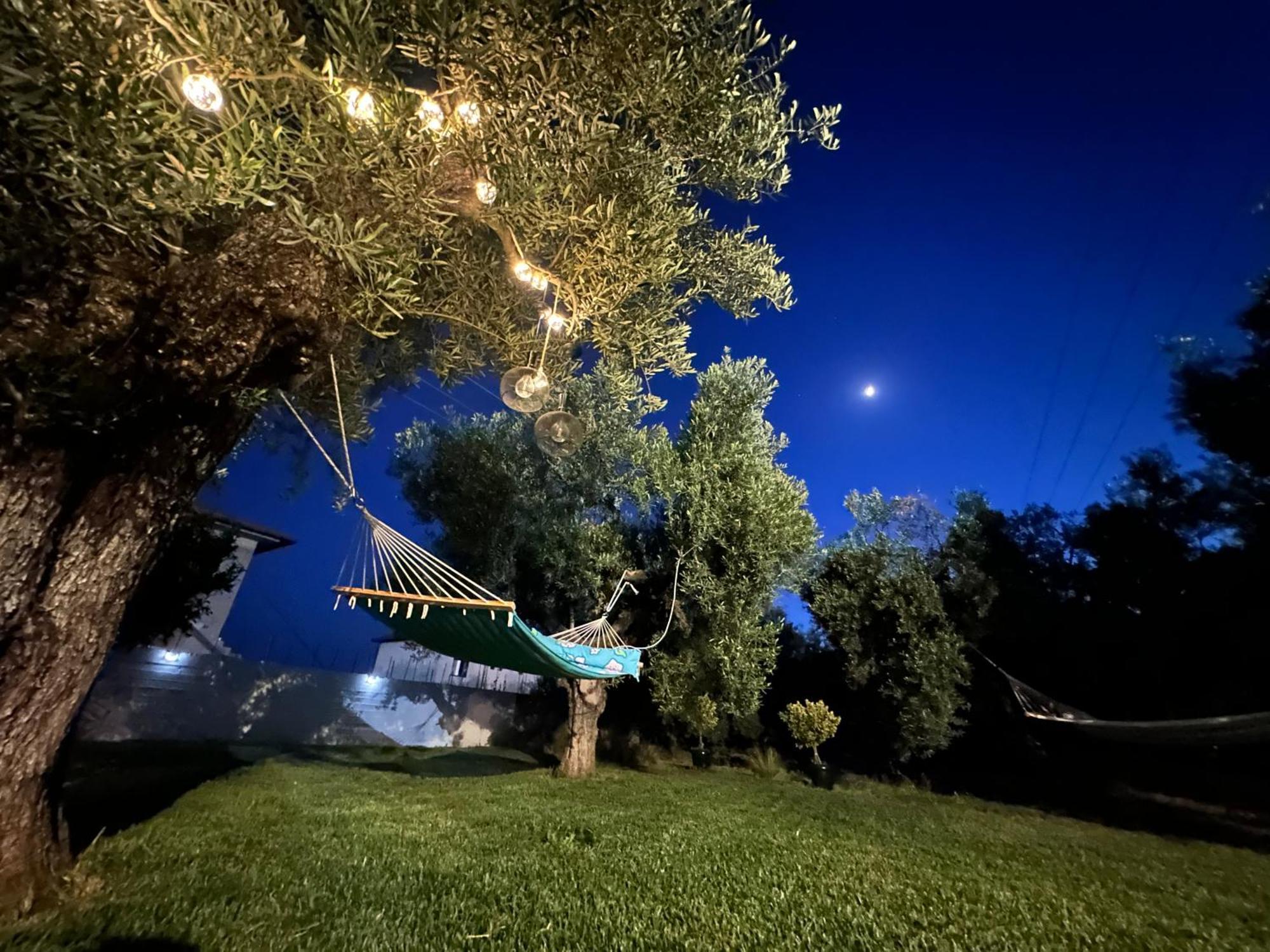 House Garli Daire Psakoudia Dış mekan fotoğraf